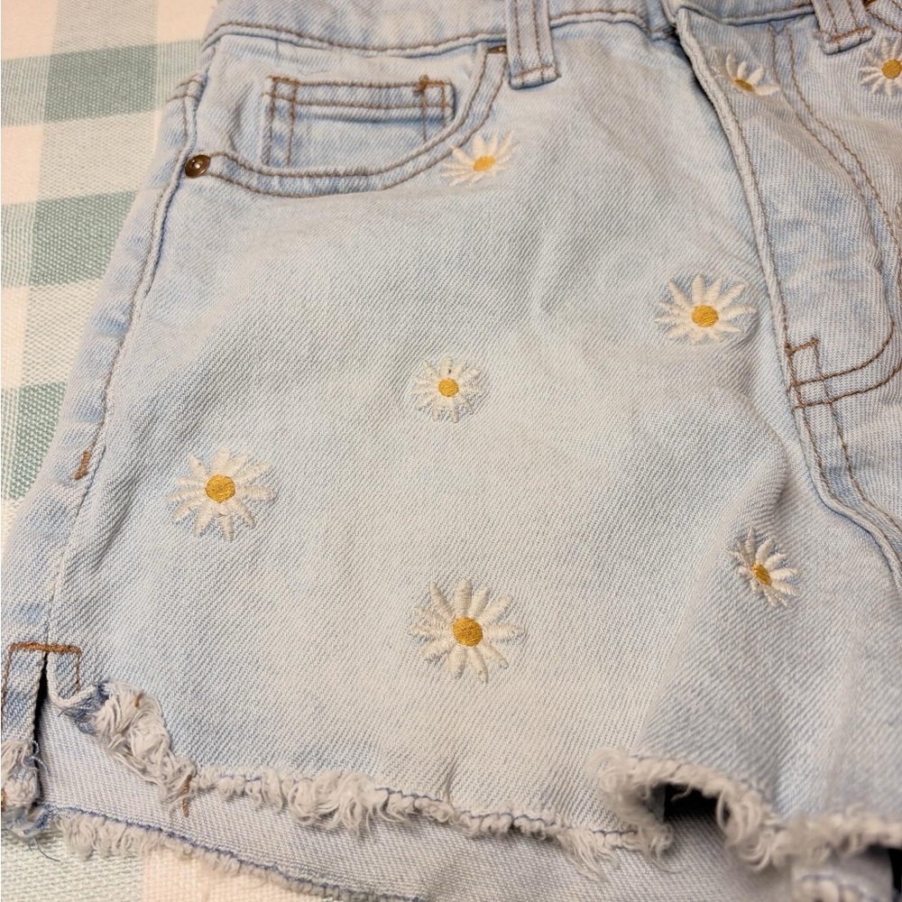 Light Blue Floral Embroidered Women's Shorts